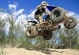 Wallmonkeys Peel and Stick Wall Decals - Blue Quad Jumping - Removable Graphic