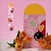 Lady Bug Themed Wooden Children's Growth Chart: Sibling Gift