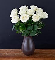 Autograph Avalanche+ Roses - Dozen
