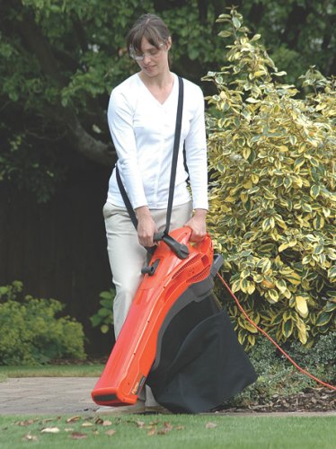 Henton and Chattel Flymo Garden Vac 2500 Turbo