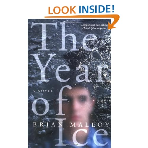 The Year of Ice: A Novel