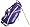 Kansas State Wildcats
