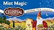 Celestial Seasonings Herb Tea, Mint Magic, 20-Count Tea Bags (Pack of 6)