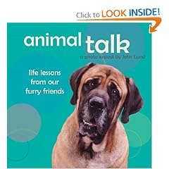 Animal Talk: Life Lessons from Our Furry Friends