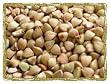 Buckwheat, 5 Lb Bag Certified Organic Non-GMO, Whole Grain