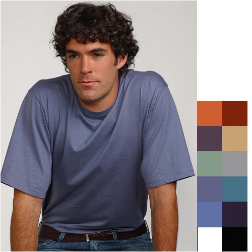 Click here to buy Hanes Beefy Silver Tee.
