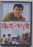 赤木圭一郎は生きている 激流に生きる男   NYK-802 [DVD]