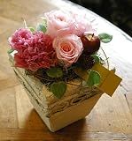 �y�͂�Ȃ����ԁz�v���U�[�u�h�t�����[  �u�v���o���X�v�s���N�@���a�����Ȃǂ̂��j���Ɂ@�y�p���{�b�Z�z