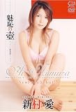 魅恥の壷 新村愛