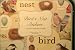 100+ Bird and Nest Stickers By Cavallini & Co.