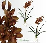 TWO 33" Cymbidium Orchid Bendable Artificial Silk Flowers