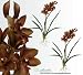 TWO 33" Cymbidium Orchid Bendable Artificial Silk Flowers