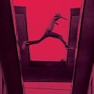The Ecstatic [Explicit]