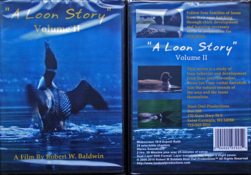 Loon - Story