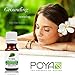 Patchouli Essential Oil 10 ml