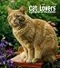 Cat Lovers 2010 Hardcover Weekly Engagement