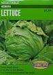 Iceberg Lettuce Seeds 300 Seeds