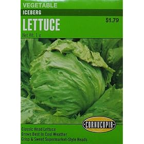 Iceberg Lettuce Seeds 300 Seeds