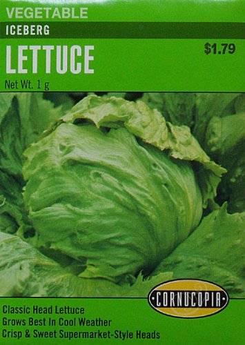 Iceberg Lettuce Seeds 300 Seeds