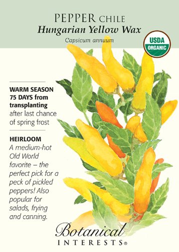 Hungarian Chile Pepper Seeds - .40 grams - Organic