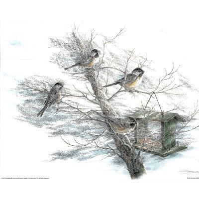 (16x20) Chickadee (Birds at Feeder) Art Print Poster