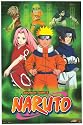 Naruto - Family - Poster - 22 x 34