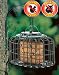 The Nuttery Squirrel & Predator Proof Oval Suet Feeder