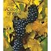 Color of Wine 2009 Pocket Planner
