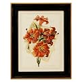 Hand-Colored Romantic Bouquet