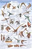(24x36) Pterosaurs Educational Dinosaur Science Chart Poster