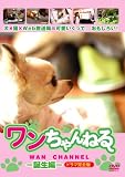 ワンちゃんねる 誕生編 ドラマ完全版