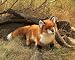 Folkmanis Red Fox Puppet