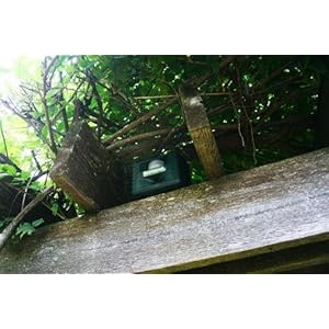 Yard Sentinel Pest Animal Control Repeller & Repellent for Crow Rabbit Racoon Squirrel Bat Skunk Dog Cat