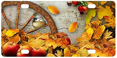 Happy Thanksgiving Day Autumn Leaf and Apple Fruit Strong And Durable Aluminum Car Metal License Plate Frame for Women/Men Four Holes Tag 12" X 6"