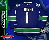 Roberto Luongo Autographed/Hand Signed Vancouver Canucks Blue Reebok Premier Jersey
