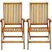 LuuNguyen - Tullamore Outdoor Hardwood 5 Positions Reclining Folding Arm Chair (Natural Wood Finish), Set of 2