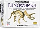 Eyewitness Kit: Dinoworks Triceratops
