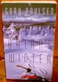 Brian's Winter