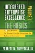Integrated Enterprise Excellence, Vol. I:  The Basics: Golfing Buddies Go Beyond Lean Six Sigma and the Balanced Scorecard