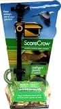 ScareCrow Starter Kit (2 retail units, P.O.P., and dummy)