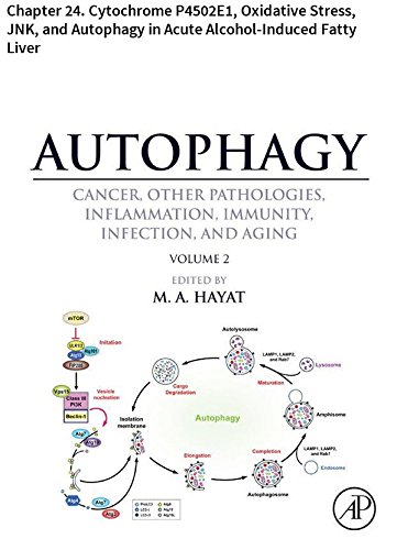 Autophagy: Chapter 24. Cytochrome P4502E1, Oxidative Stress, JNK, and Autophagy in Acute Alcohol-Induced Fatty Liver