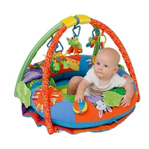 Jollybaby Prop 'N Play Discovery Gym and Playmat