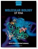 Molecular Biology of RNA