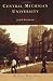 Central Michigan University (MI) (Campus History Series)