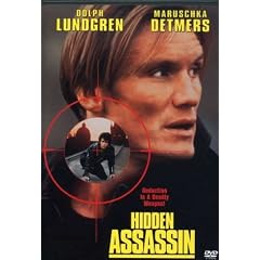 Hidden Assassin by 