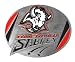 Buffalo Sabres - NHL Pewter Belt Buckle