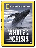  : National Geographic: Whales in Crisis