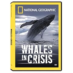 National Geographic: Whales in Crisis by 