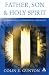 Father, Son and Holy Spirit: Toward a Fully Trinitarian Theology