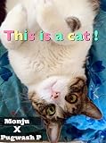 This is a cat !